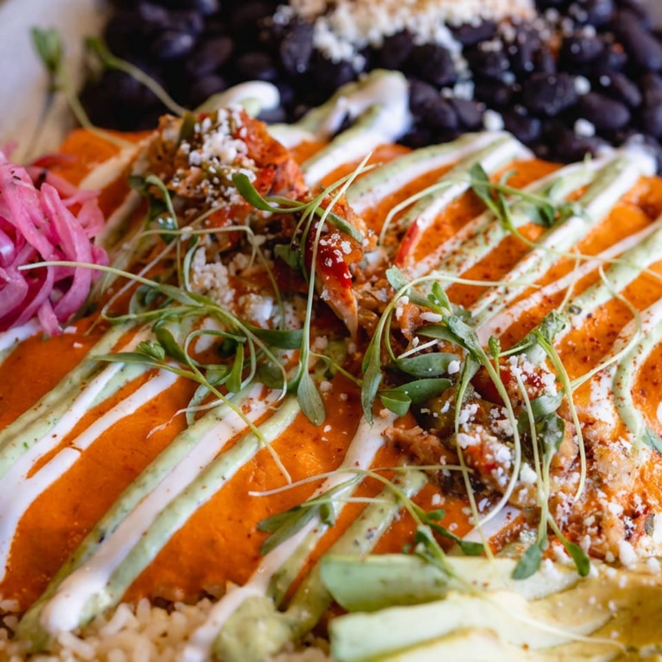 Enchiladas drizzled with creamy sauces, topped with microgreens and cheese, served with black beans, rice, and pickled onions.